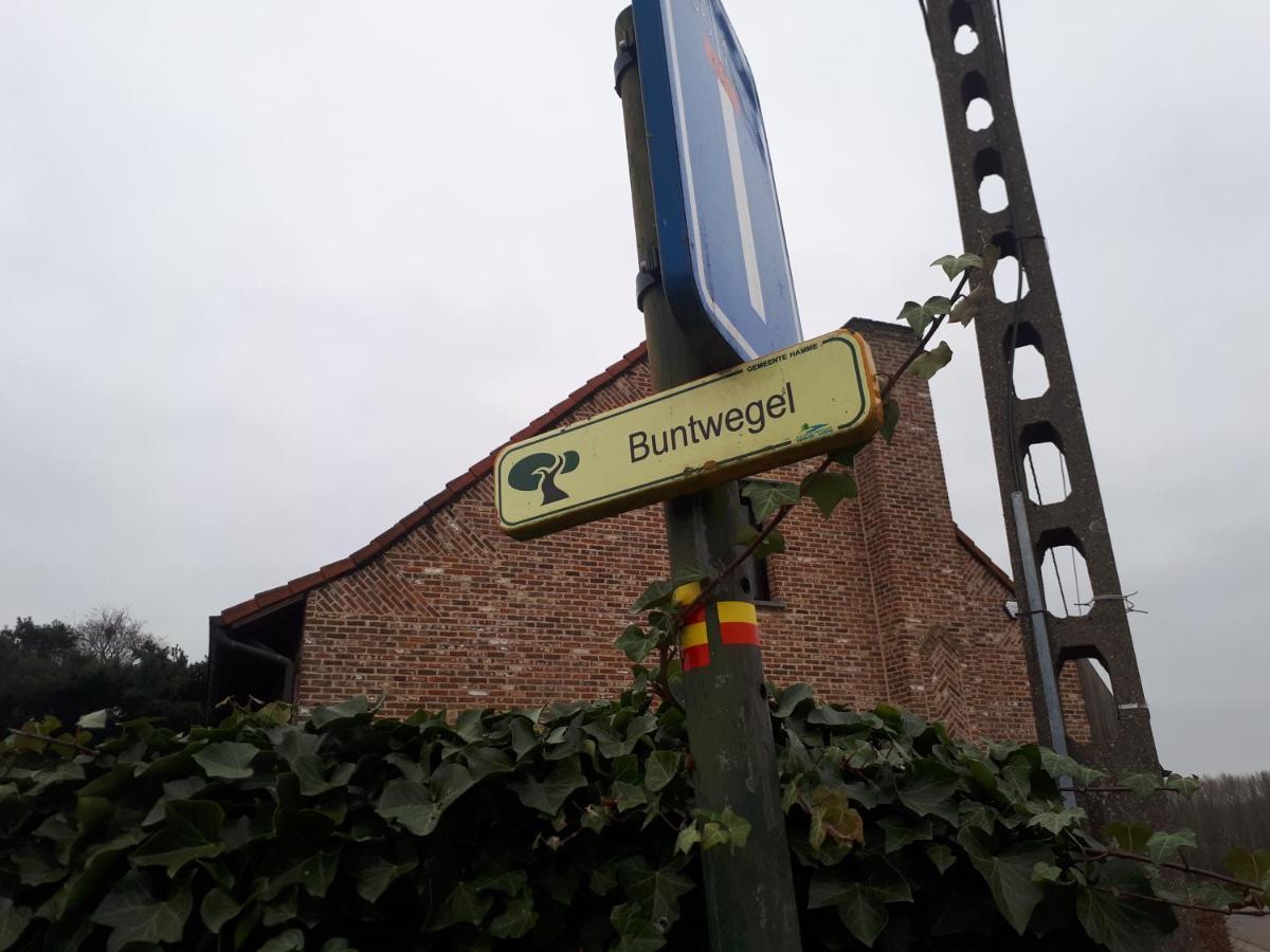 Vertentenhuis Hamme Exterior foto