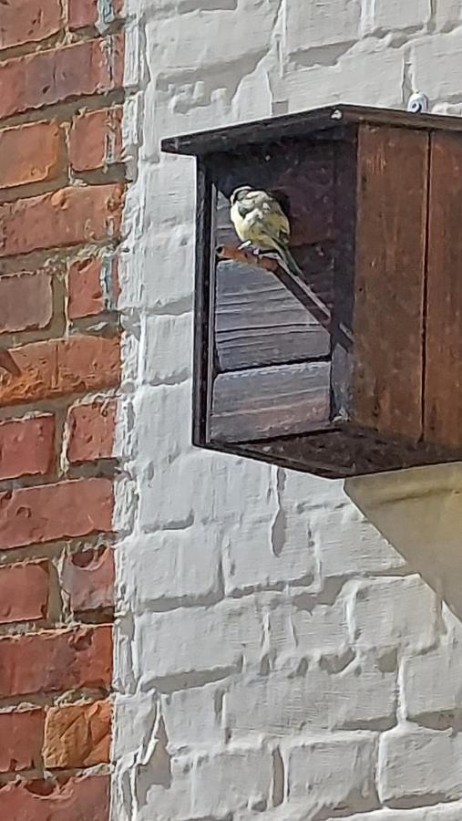 Vertentenhuis Hamme Exterior foto